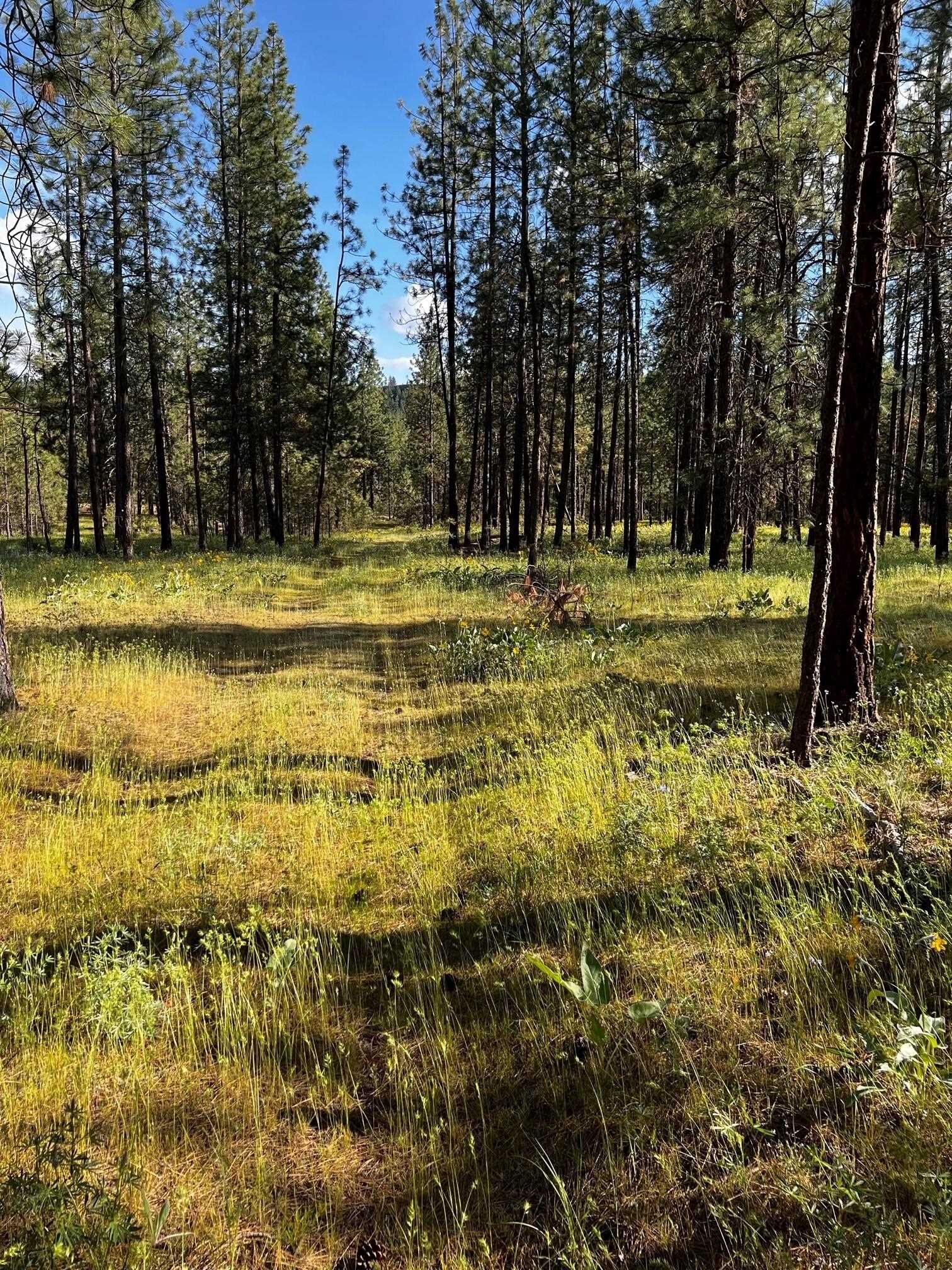 Property Photo:  Xxxxx W Long Lake Rd  WA 99013 