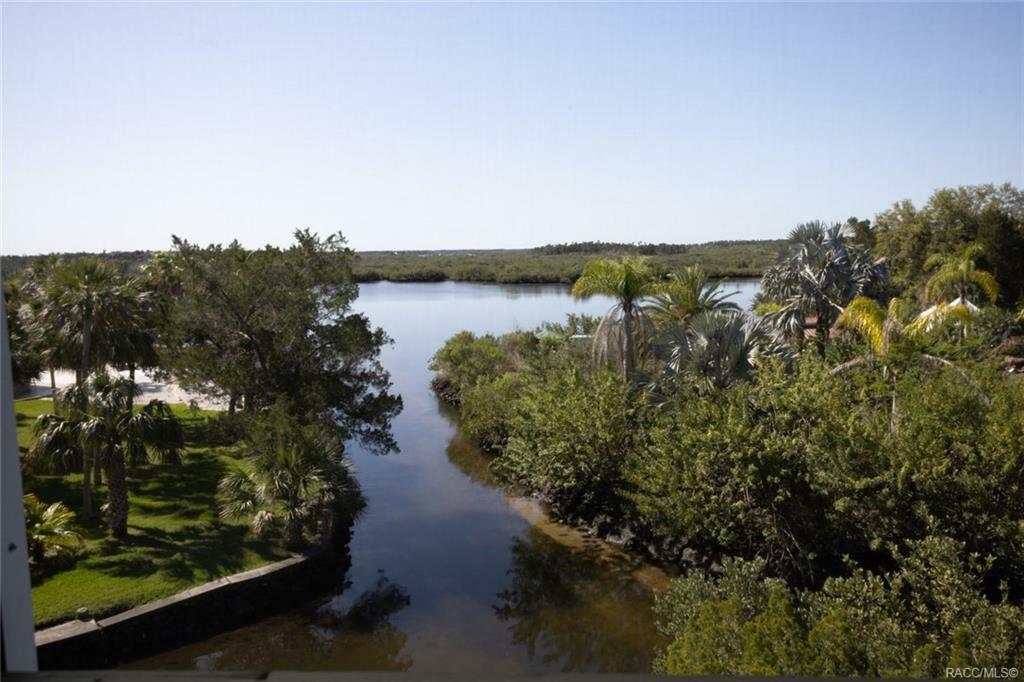 1460 S Estuary Drive  Crystal River FL 34429 photo