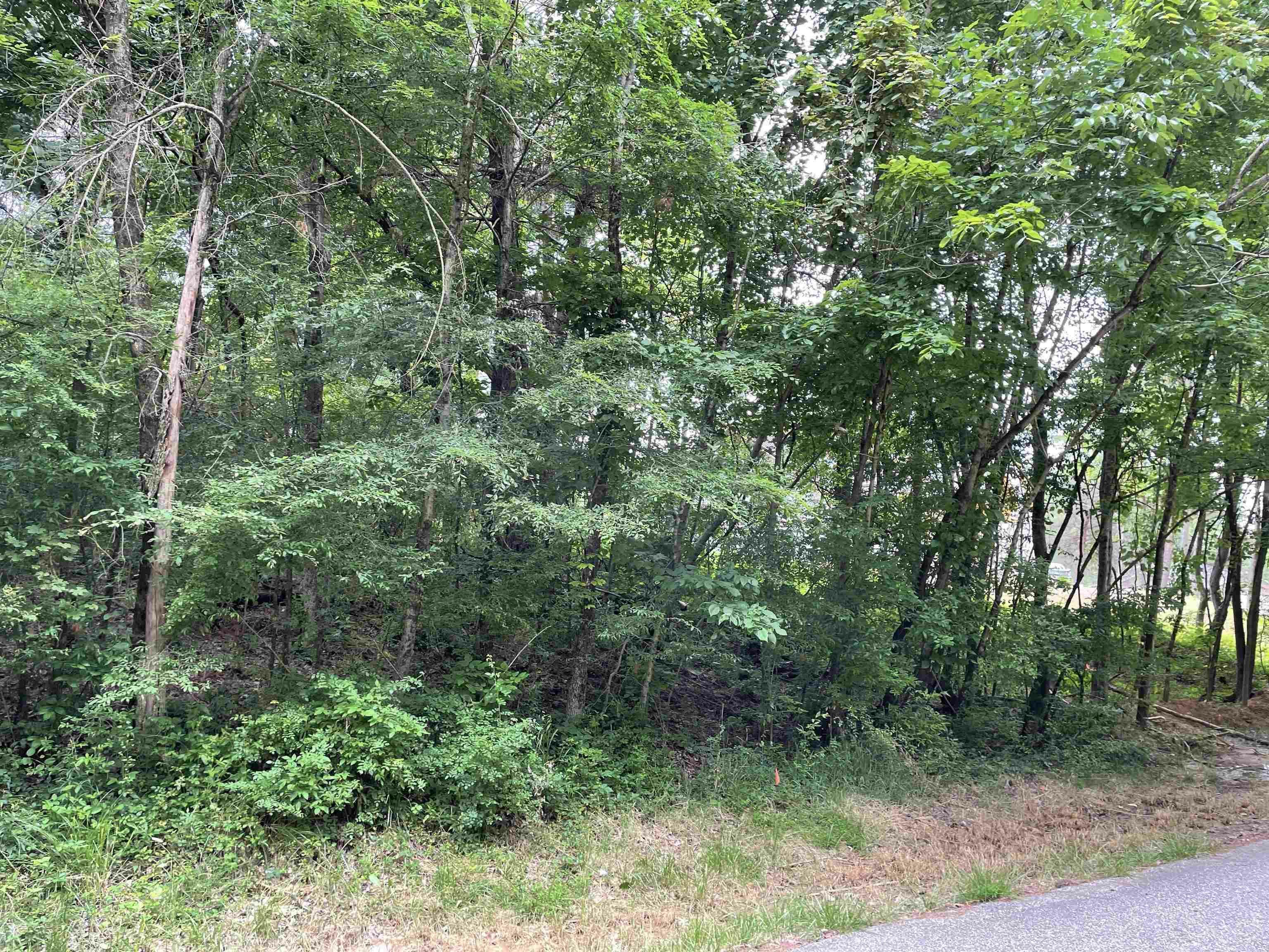 Property Photo:  Lot 272 Holly Drive  IN 47579 