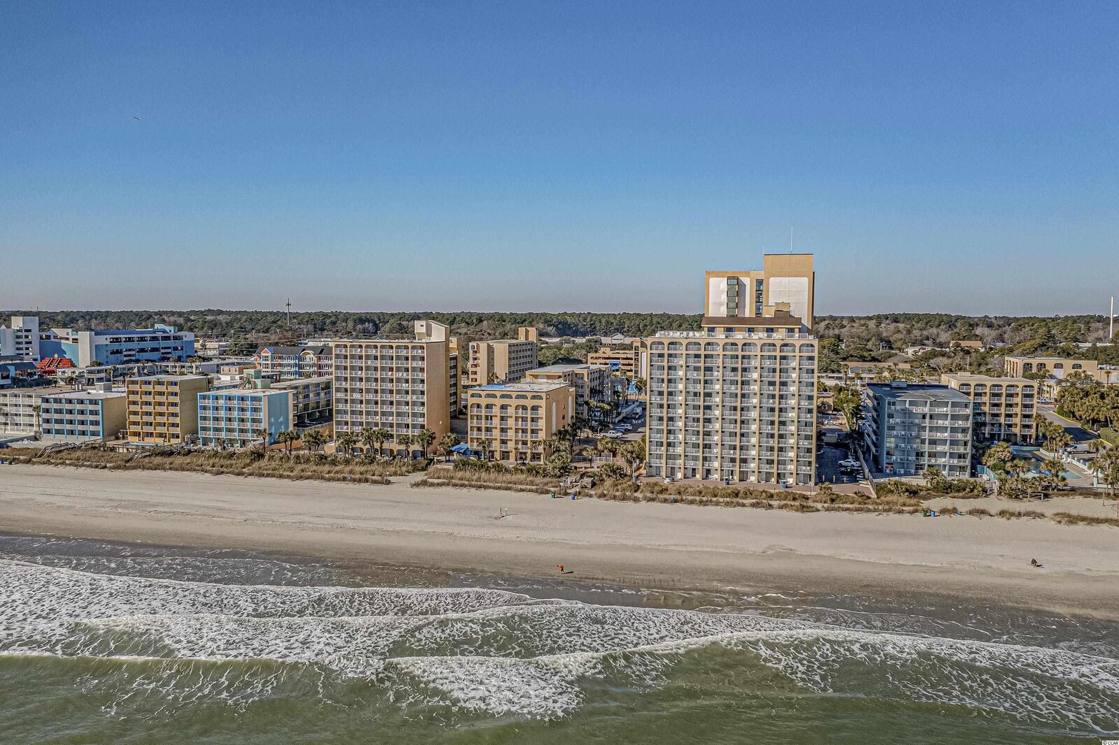 Property Photo:  1207 S Ocean Blvd. 51203  SC 29577 