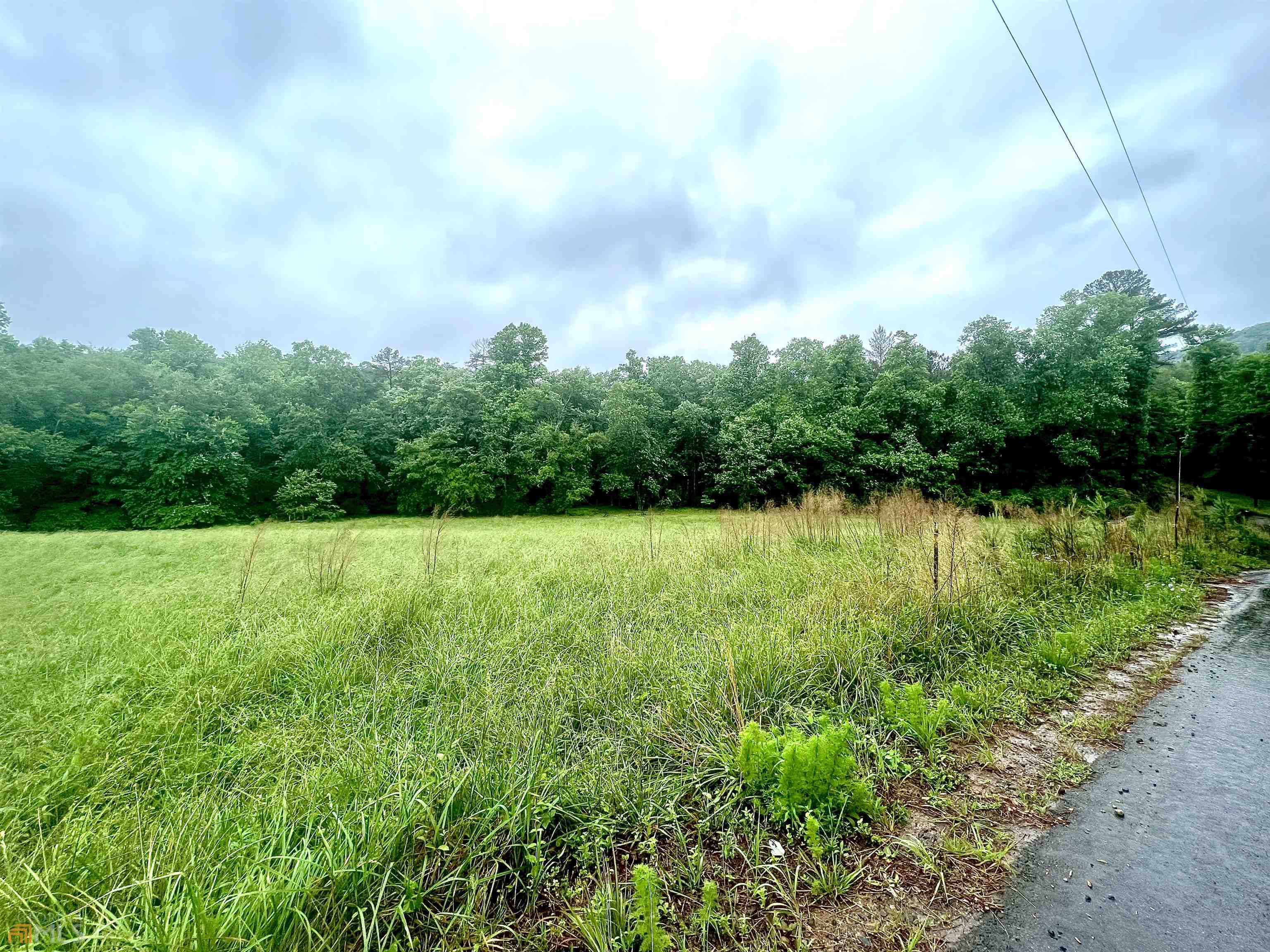 Property Photo:  0 Stanley Nix Road  GA 30528 