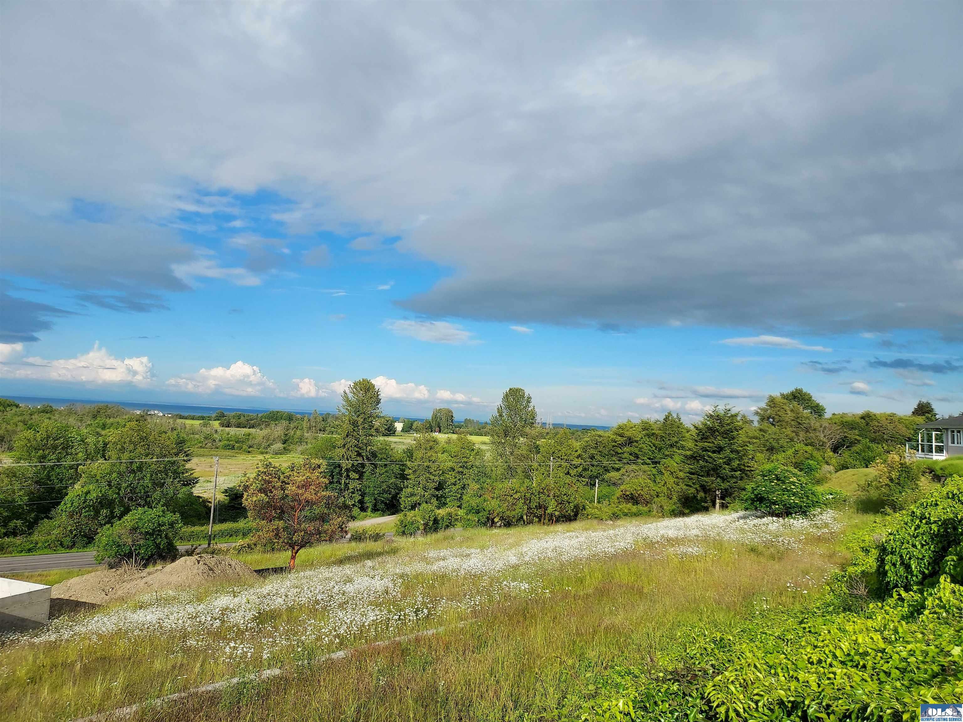 Property Photo: 9999 Moonlight Dr. Lot # 43 WA 98382