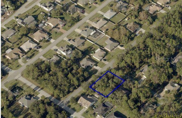 Property Photo:  31 Birchbark Lane  FL 32137 