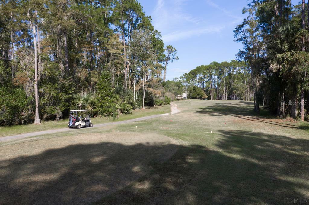 Property Photo:  70 Egret Trail  FL 32164 