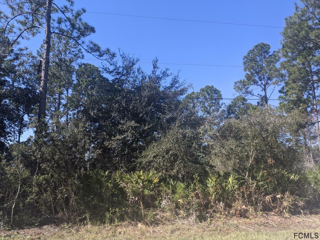 Property Photo:  28 Serbian Bellflower Trail  FL 32137 