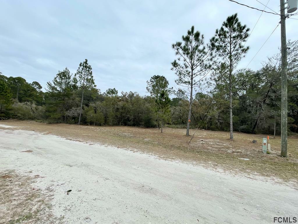 Property Photo:  117 Moon Lake Drive  FL 32112 