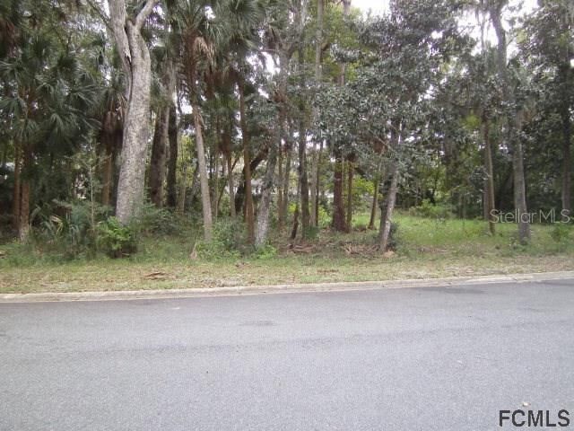 Property Photo:  29 White Hall Court  FL 32136 