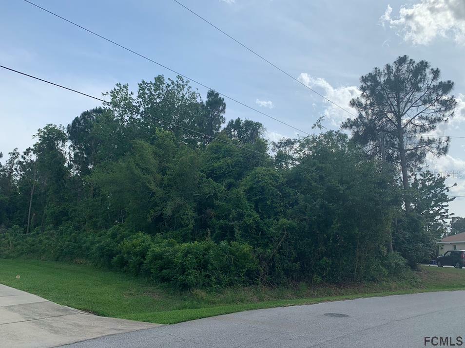 Property Photo: 17 Freneau Lane FL 32137