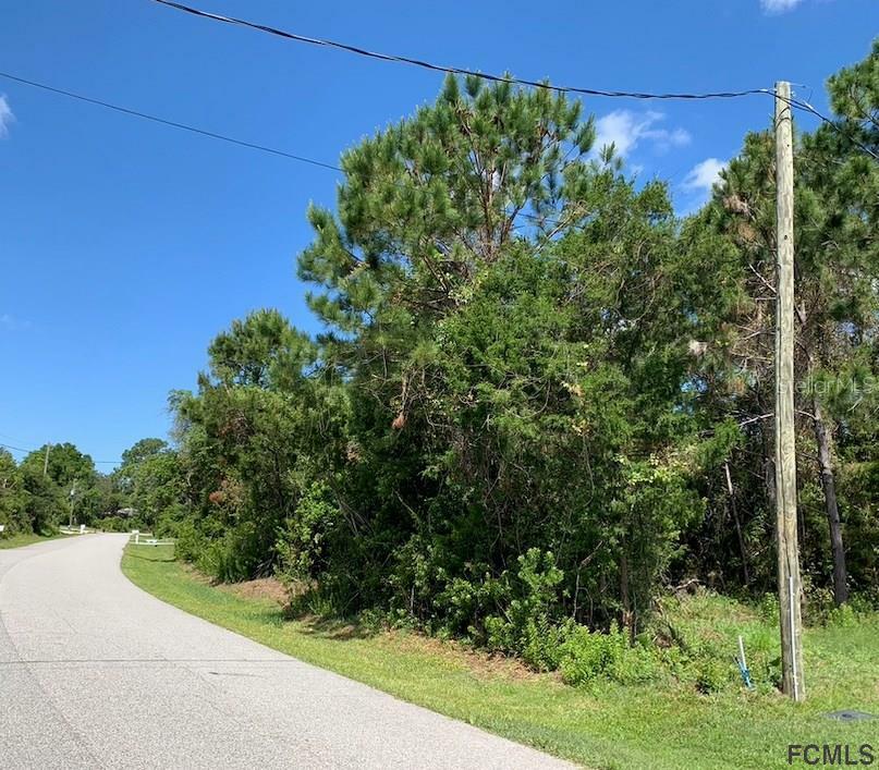 Property Photo: 37 Fernmill Lane FL 32137