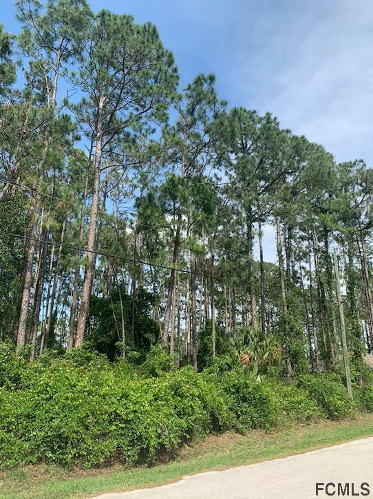 Property Photo: 39 Richmond Drive FL 32164