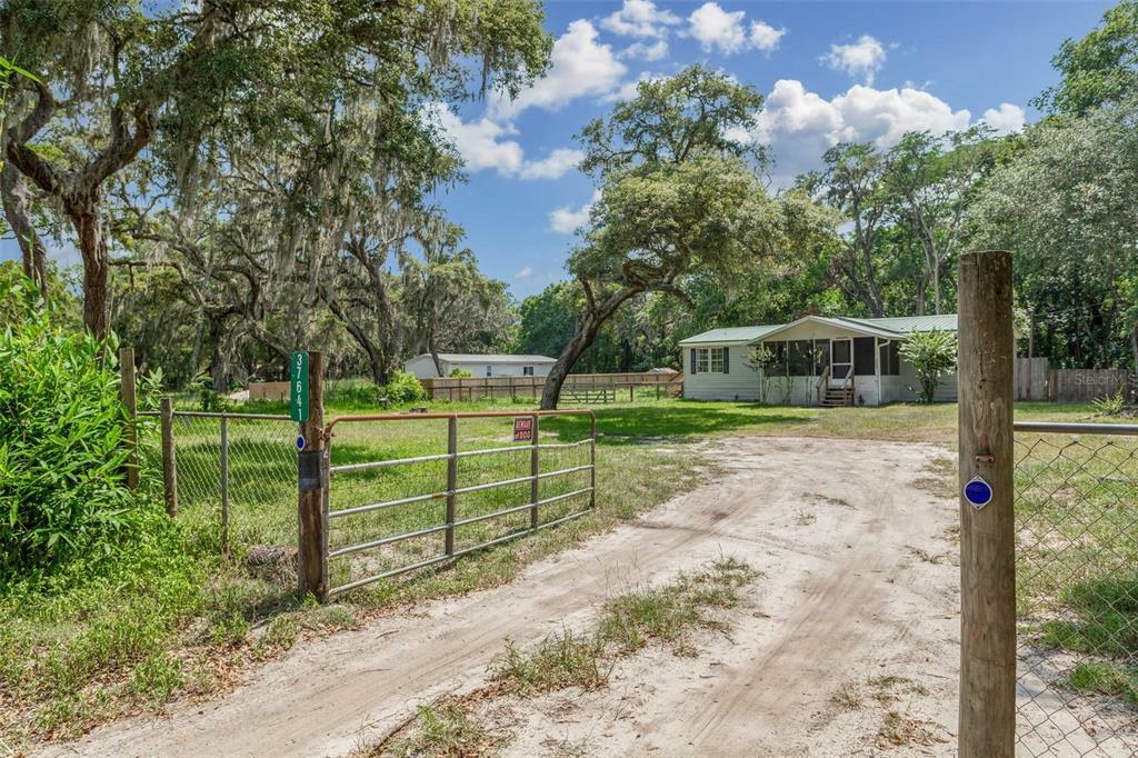 Property Photo:  37641 Perth Drive  FL 33541 