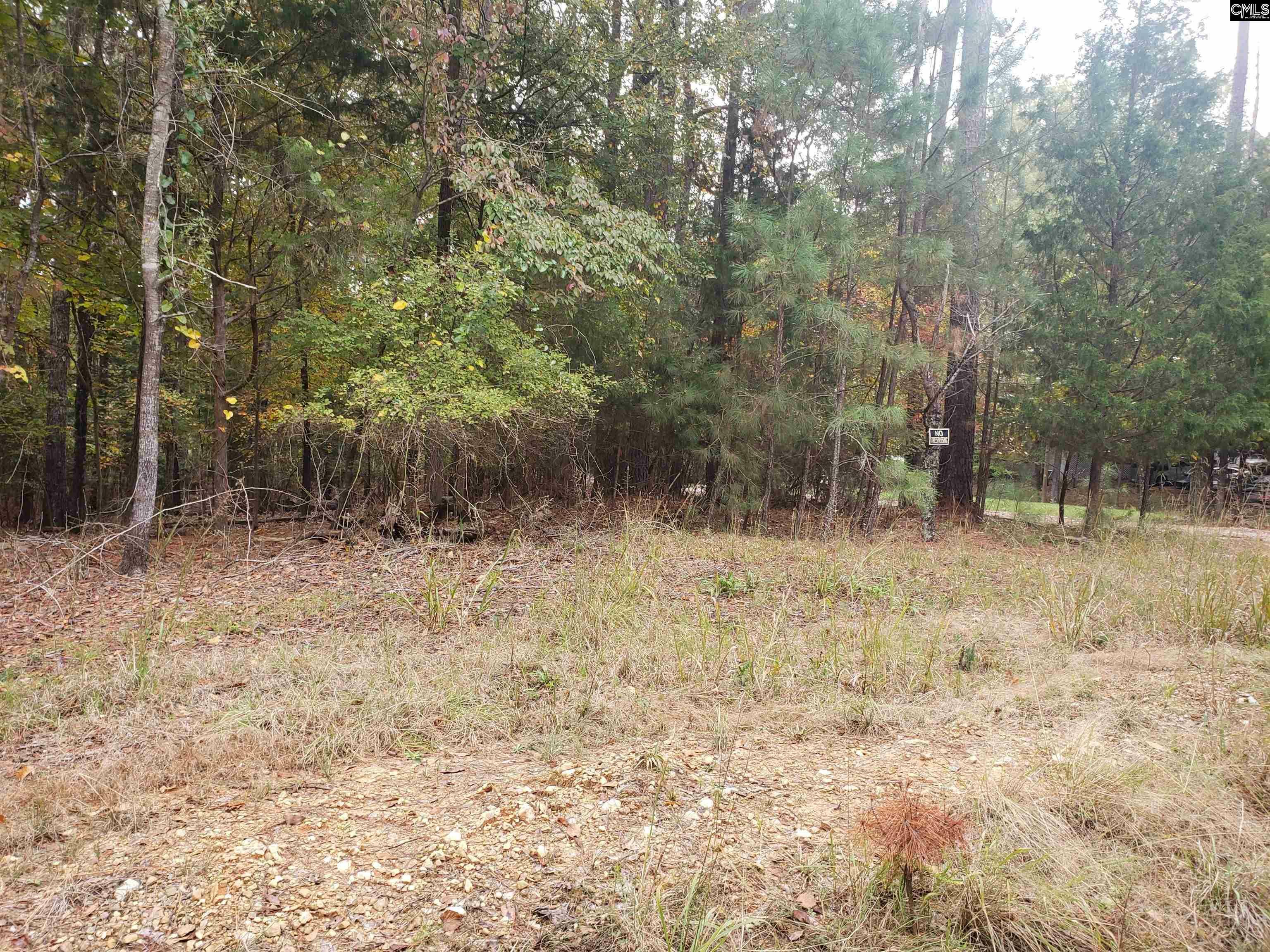 Property Photo:  344 Pioneer Shores  SC 29127 