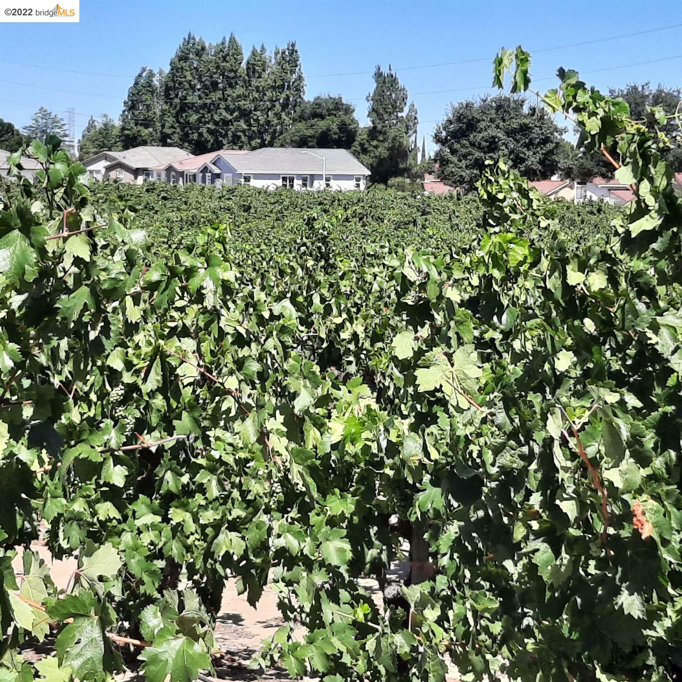 Property Photo: 3001 Oakley Rd CA 94509