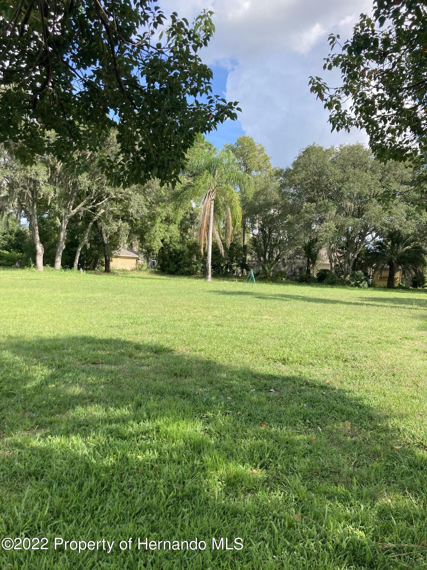Property Photo: 3254 Aldoro Avenue FL 34609