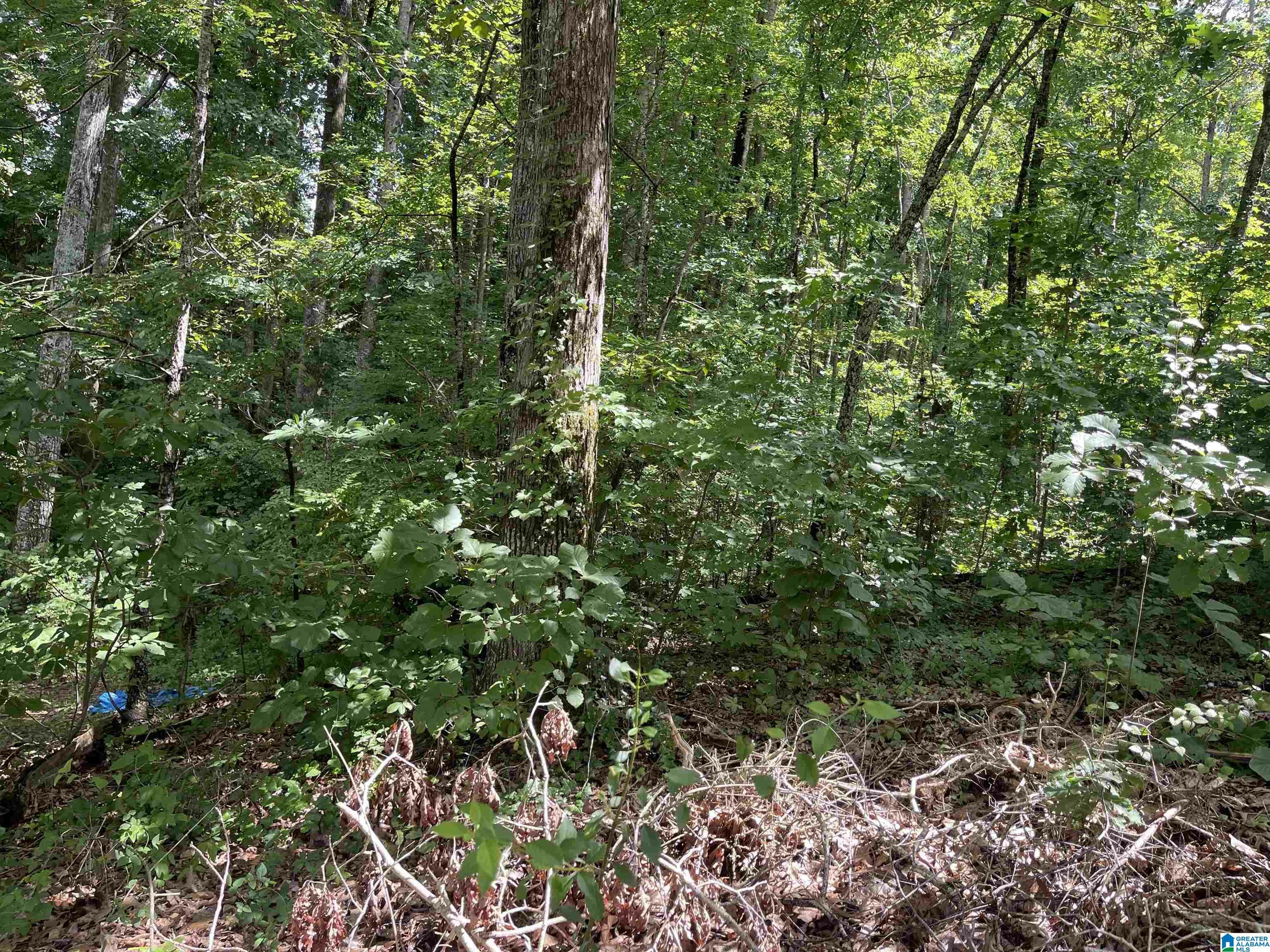 Property Photo:  0 Jeffery Terrace 0  AL 36201 