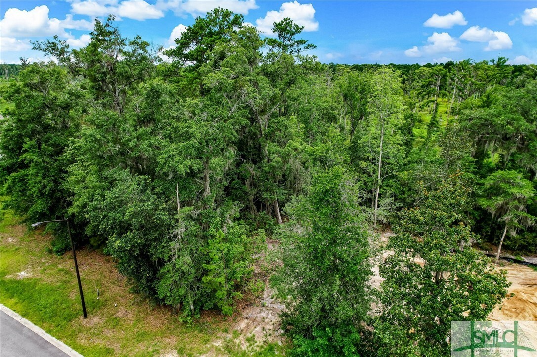 Property Photo: 7 Linden Hill Court GA 31405