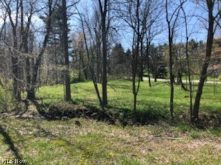 Property Photo: 11971 Wintergreen Drive OH 44024