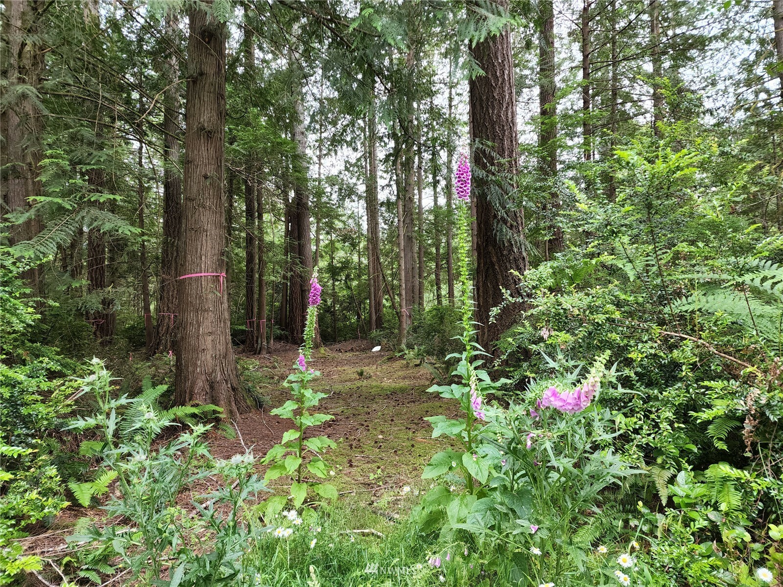 108 E Liberty Road  Shelton WA 98584 photo
