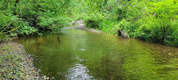 600 E Mikkelsen Road  Shelton WA 98584 photo