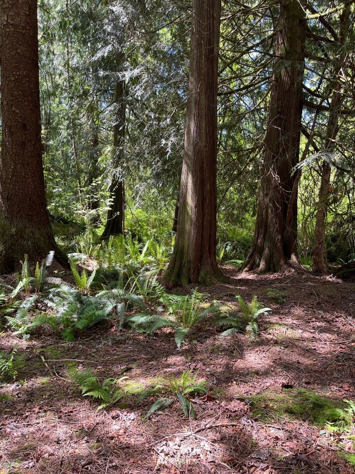 13420 74th Street NE  Lake Stevens WA 98258 photo