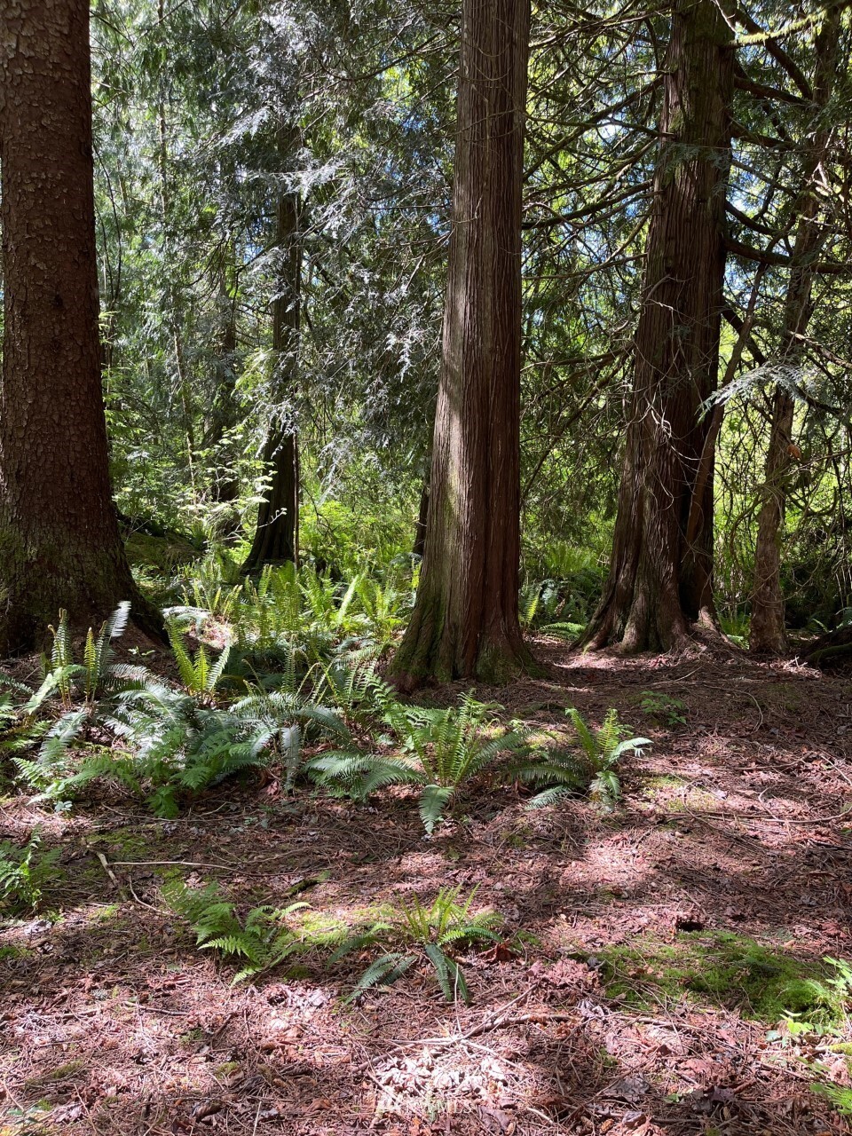 Property Photo: 13420 74th Street NE WA 98258