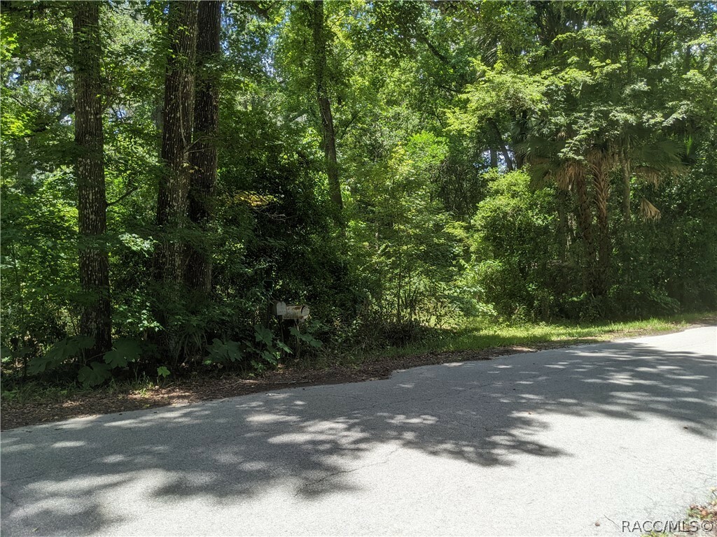 Property Photo:  2451 N Junglecamp Road  FL 34453 