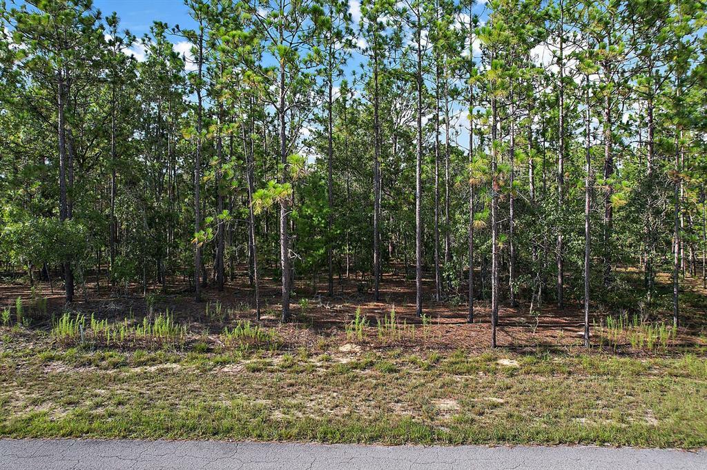 Property Photo:  Lot 4 County Road 243 C  FL 34785 