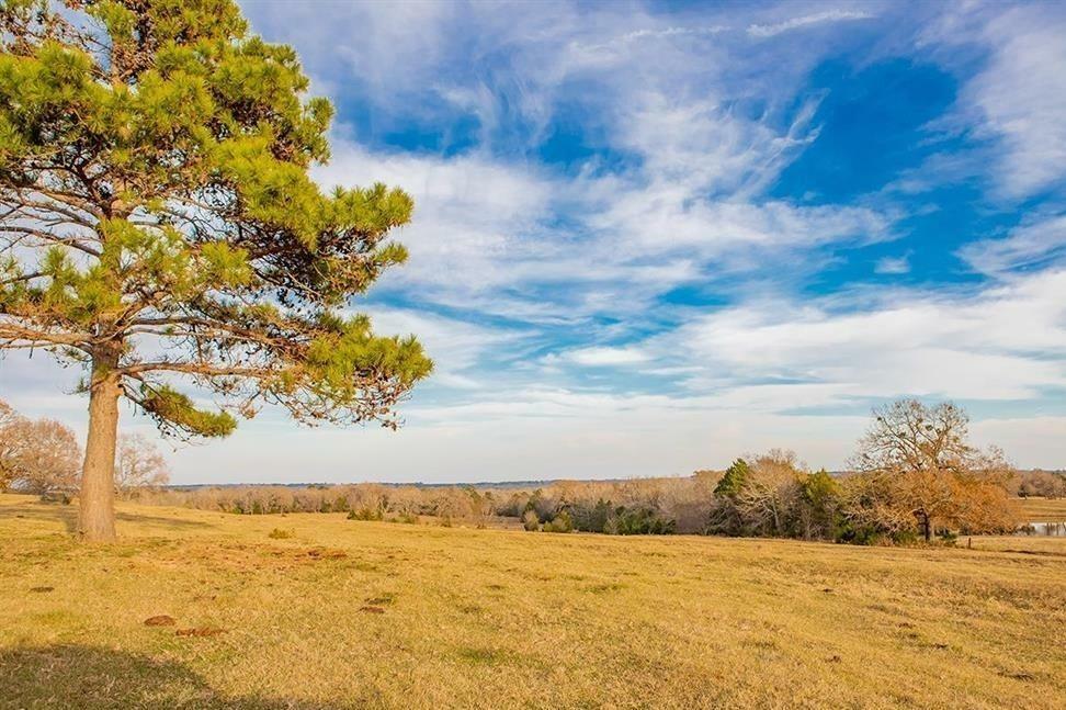 Property Photo:  18252 County 481 Road  TX 75771 