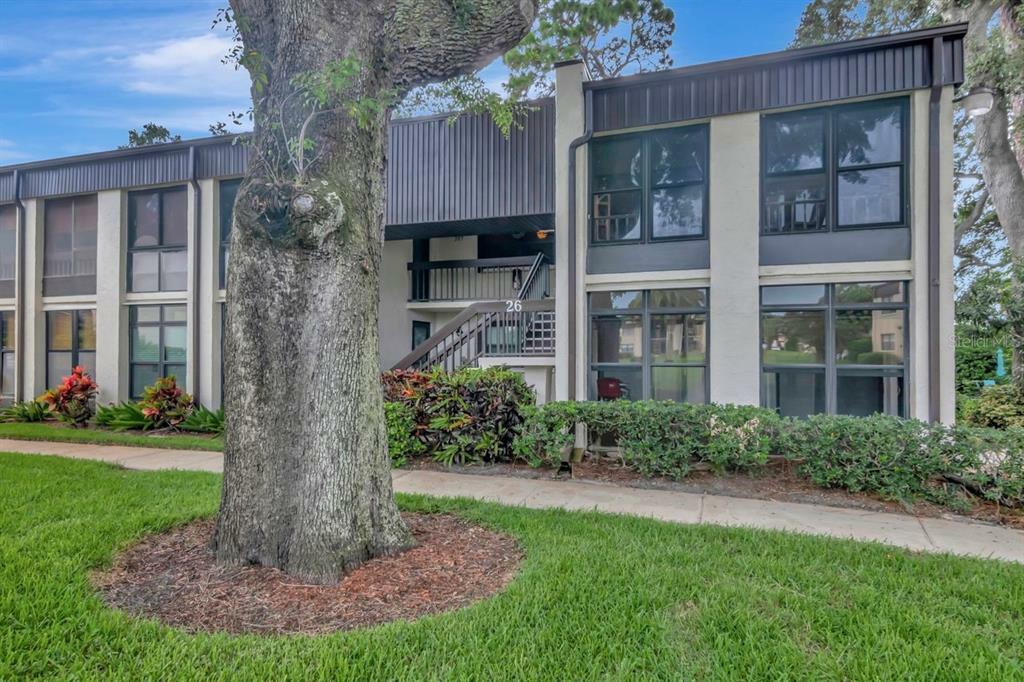 Property Photo:  2400 Winding Creek Boulevard 26-204  FL 33761 