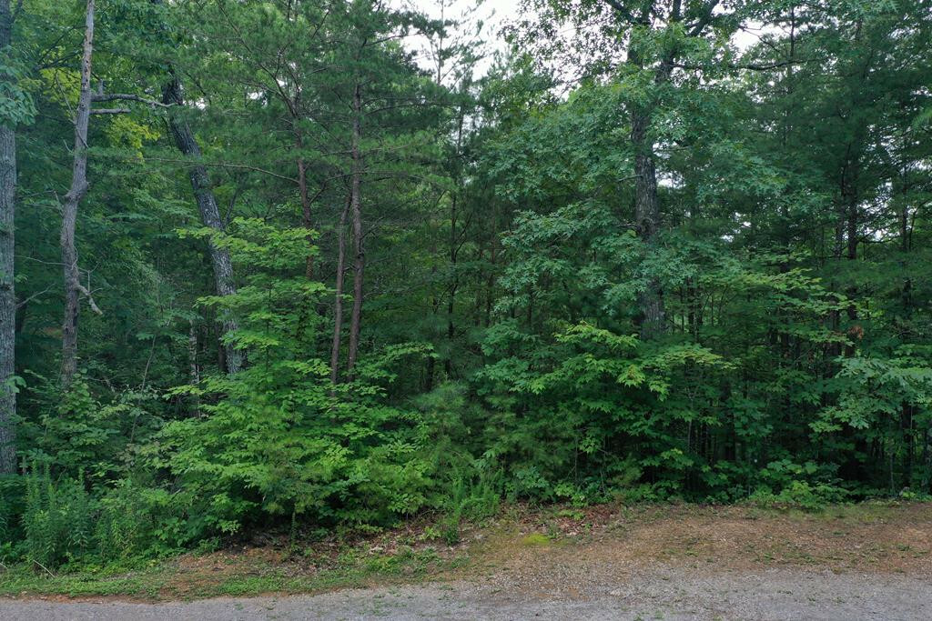 Property Photo:  Lot 0977 Ridgefield Drive  TN 37876 