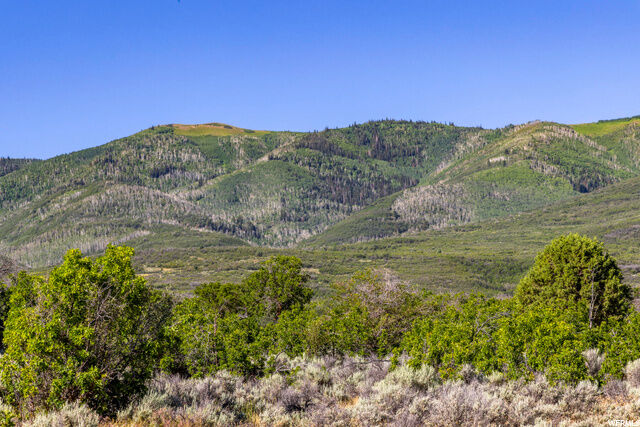 Property Photo:  2120 Little Valley Rd  UT 84082 