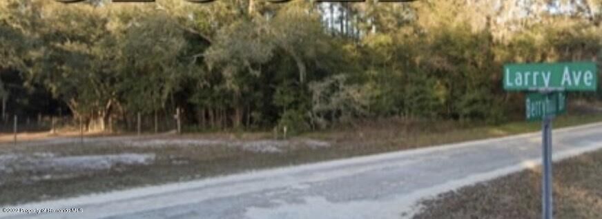 Property Photo:  0000 Larry Avenue  FL 33597 