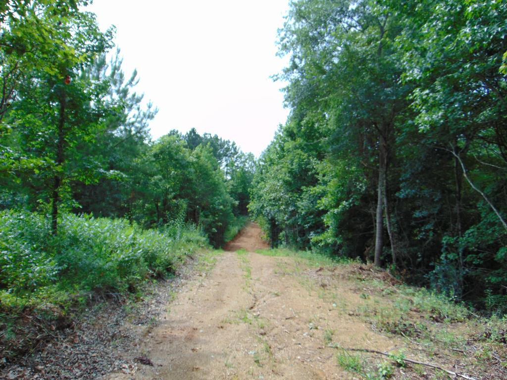 Property Photo: Tract 37 Pinhook Road TN 37309