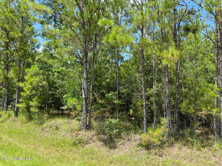 0 Riverwalk Drive  Vancleave MS 39565 photo