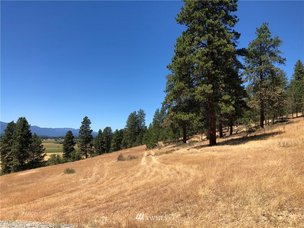 Property Photo:  0 Lot A Masterson Road  WA 98922 