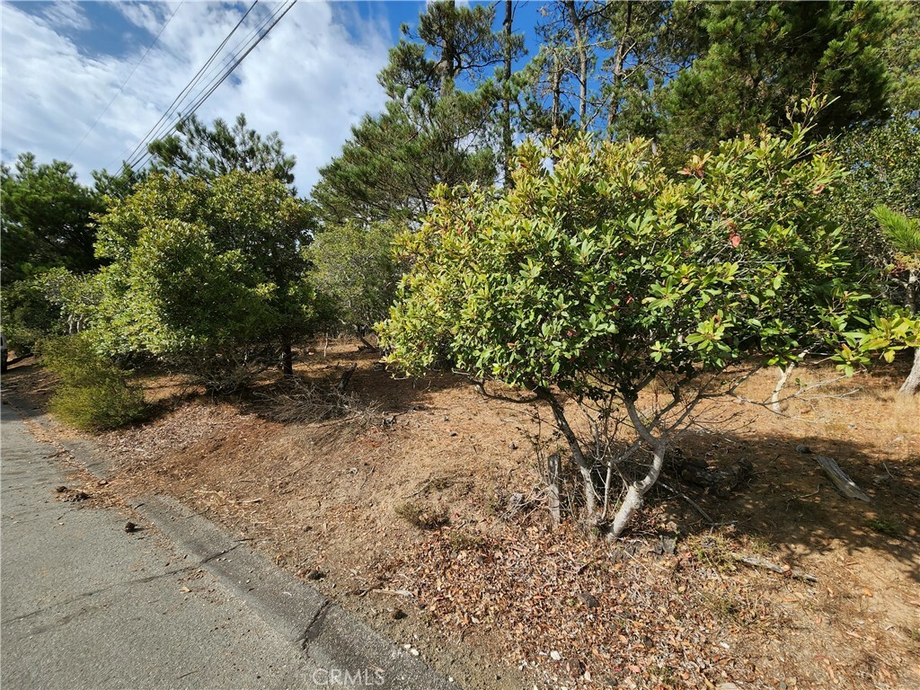 0 Norwich Avenue  Cambria CA 93428 photo