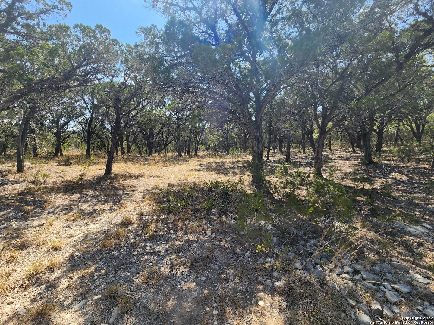 Property Photo: 101 26th St E TX 78063