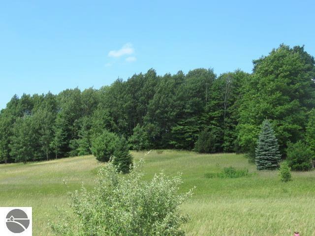 Property Photo: Lot #3 2.03 A E Lincoln Road Use 7651 E Lincoln Rd For Gps MI 49621