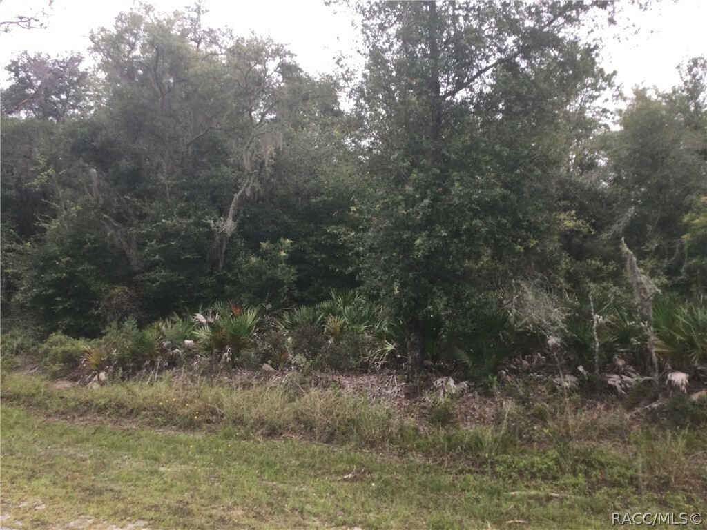 Property Photo:  12189 W Acacia Drive  FL 34428 