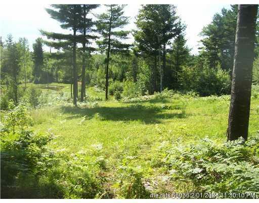 Property Photo:  Lot 4 Horseback Road  ME 04922 