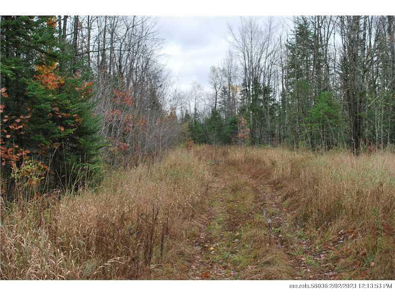 Property Photo:  Lot 7 Higgins Road  ME 04967 