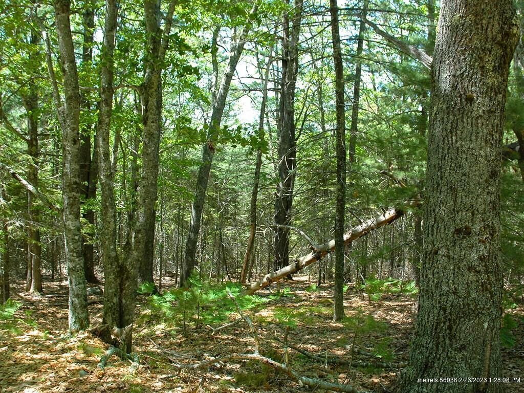 Property Photo:  0 Mill Brook  ME 04609