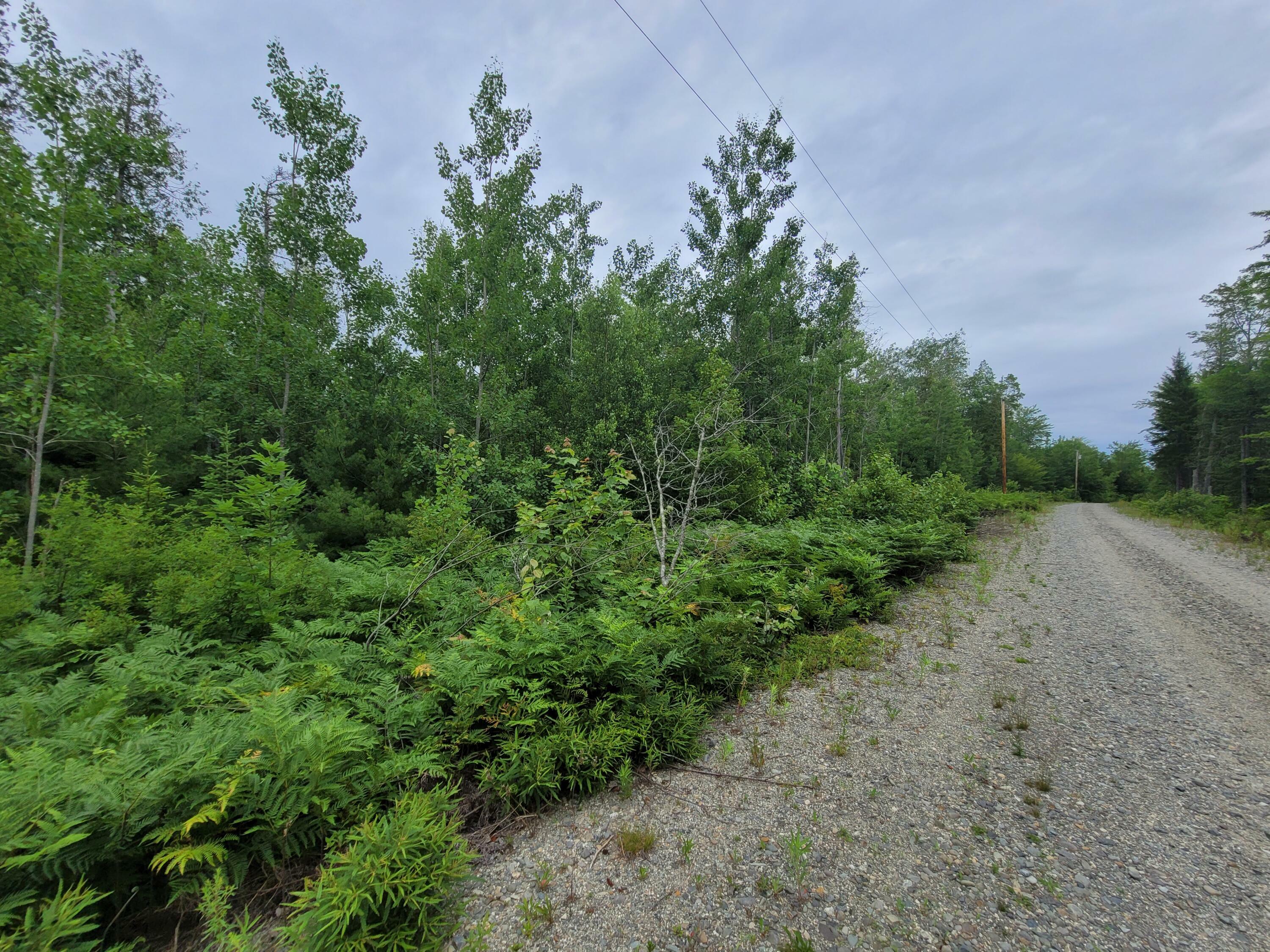 Property Photo:  Lot 12 Poplar Lane  ME 04640 