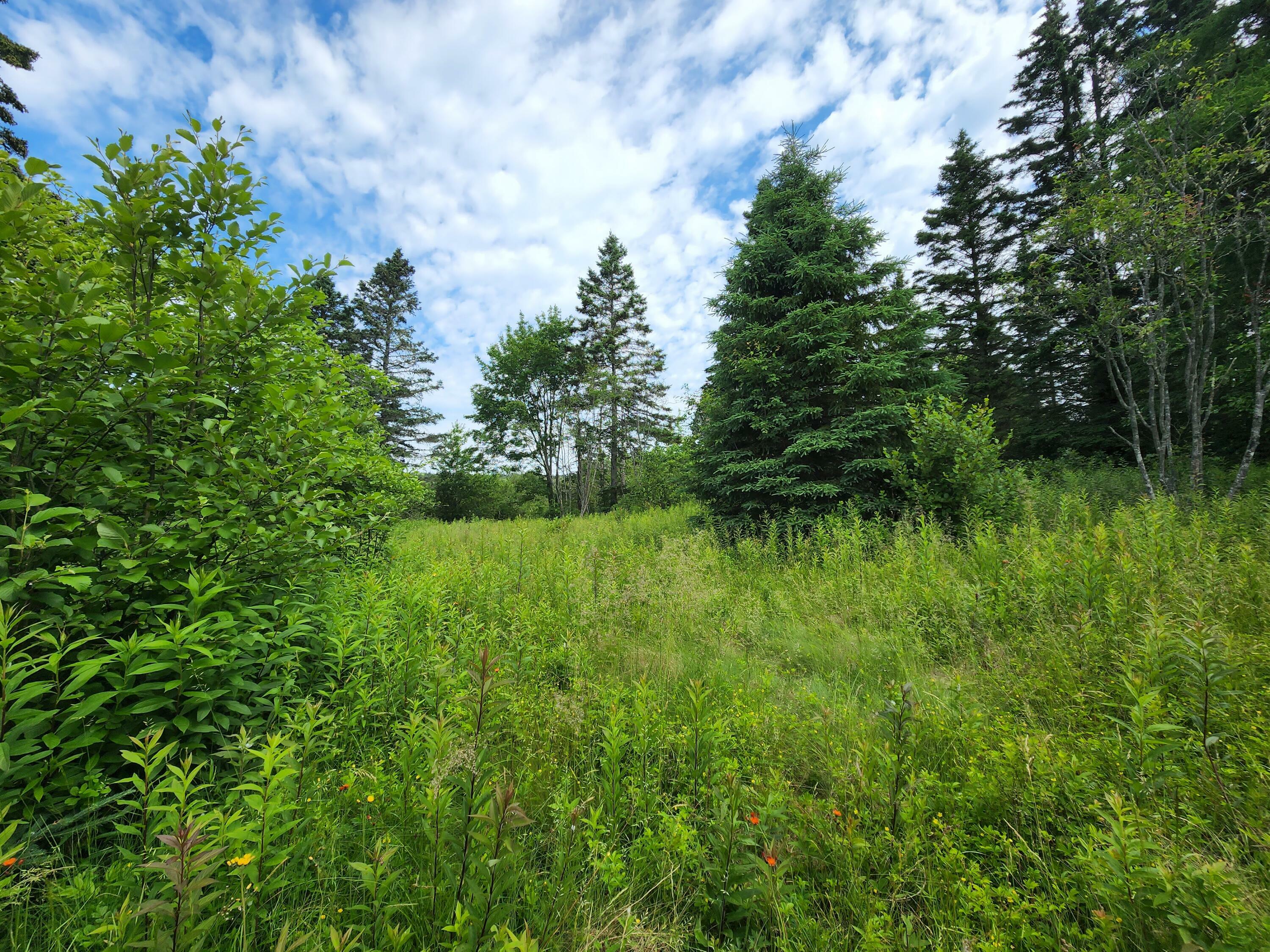 Property Photo:  00 Small'S Point Road  ME 04655 