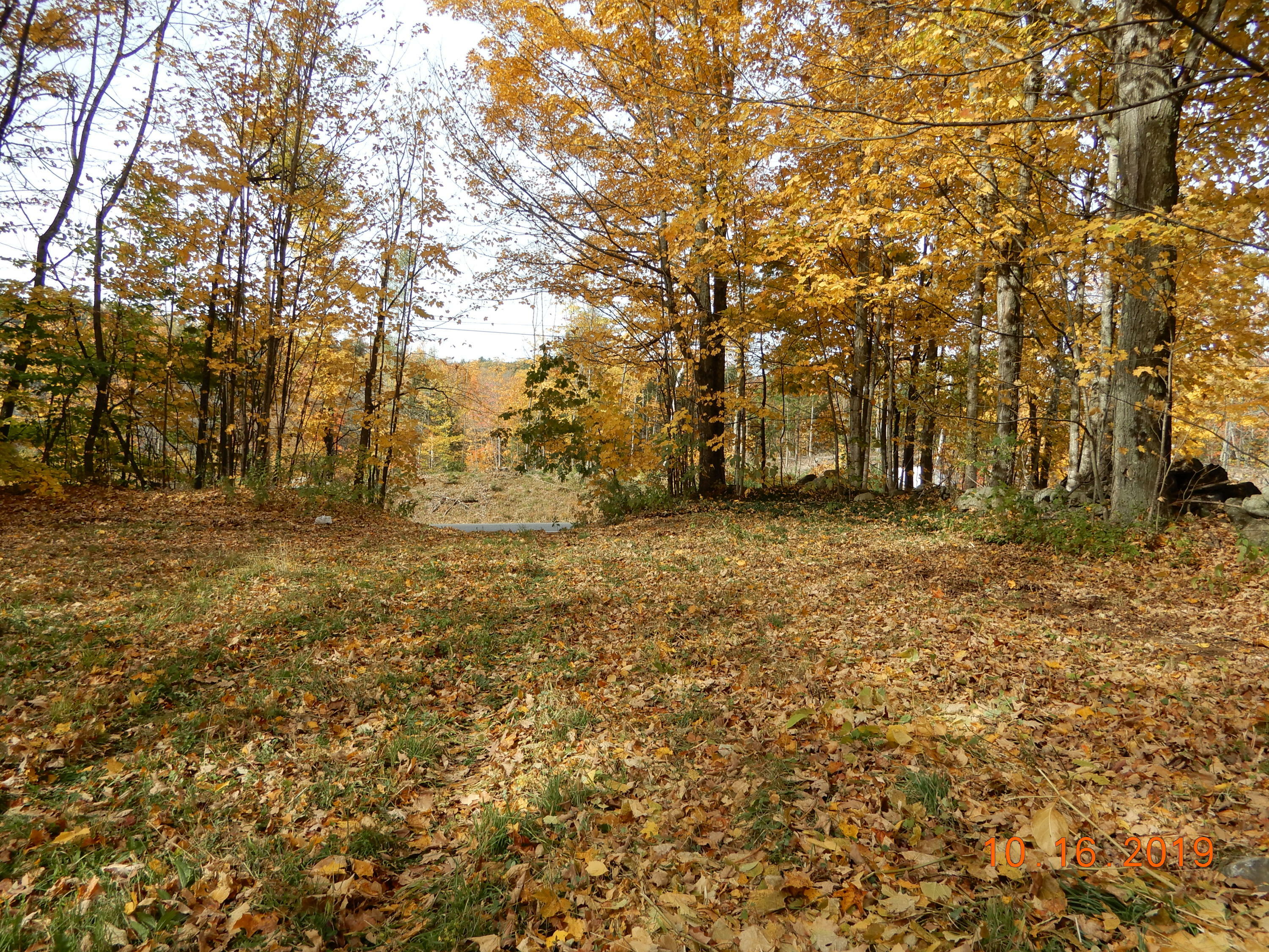 Property Photo: 0 Crash Road ME 04253