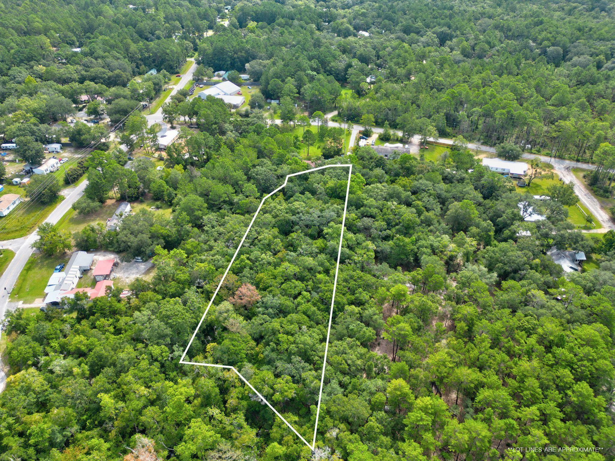 Property Photo:  Tbd W Mallard Road  FL 32439 