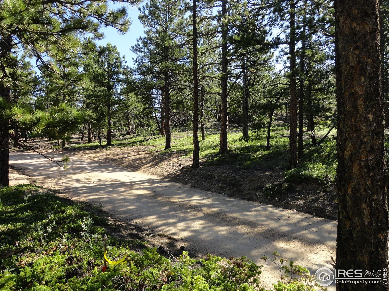 Property Photo: 1997 County Road 100J CO 80481