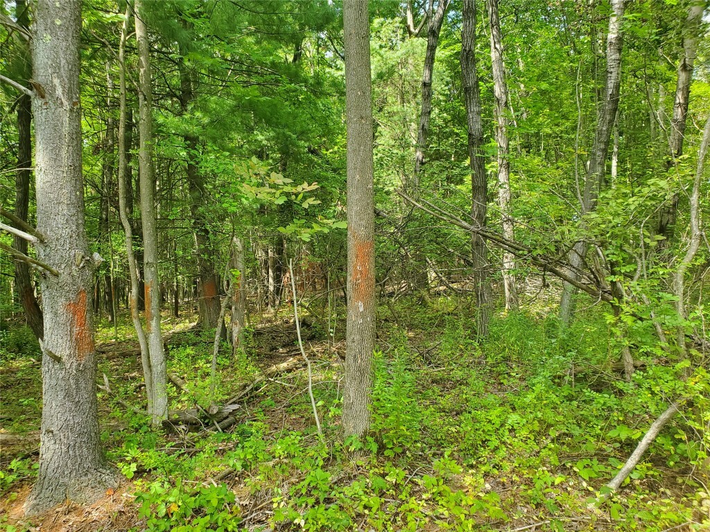 Property Photo:  3811 Struble Road  NY 13760 