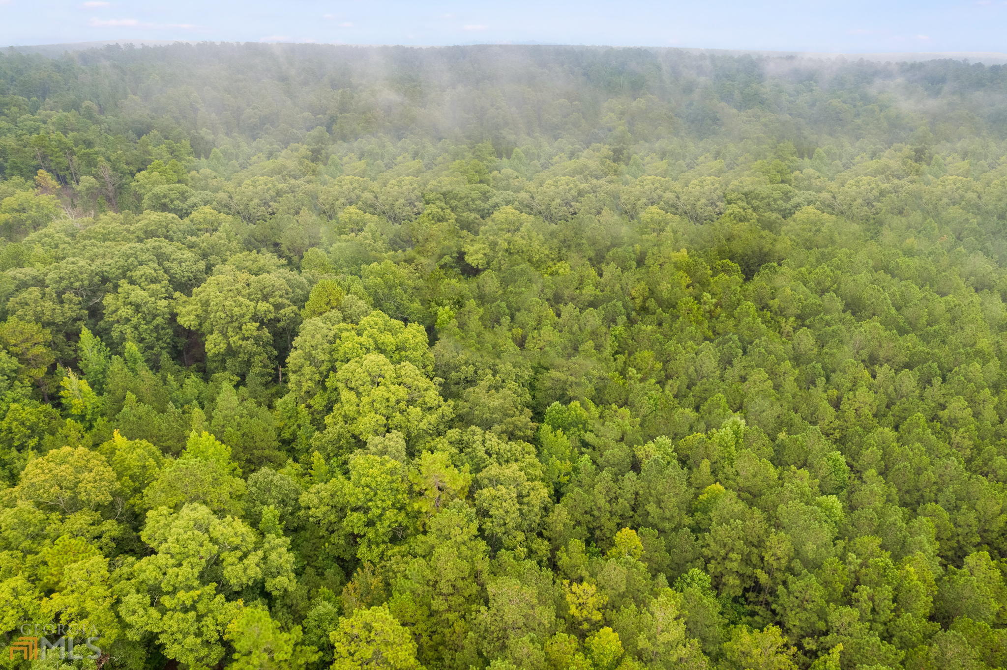 Property Photo: 0 Ponderosa Road GA 30185