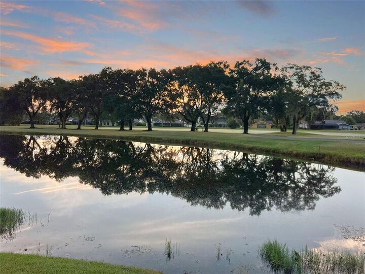 Property Photo:  3281 Hyde Park Drive  FL 33761 